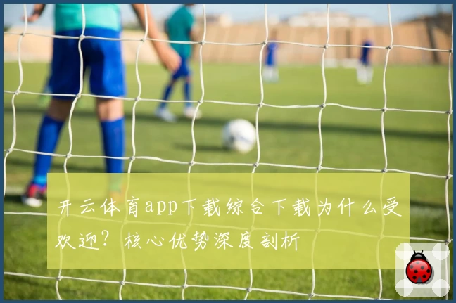 开云体育app下载综合下载为什么受欢迎？核心优势深度剖析