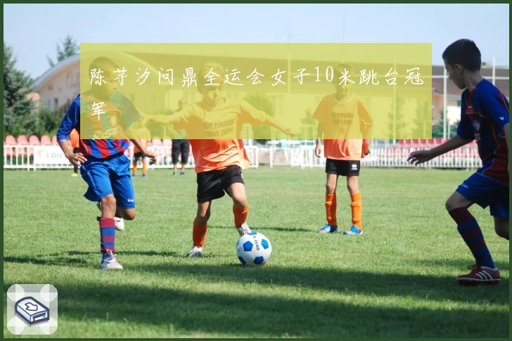 陈芋汐问鼎全运会女子10米跳台冠军