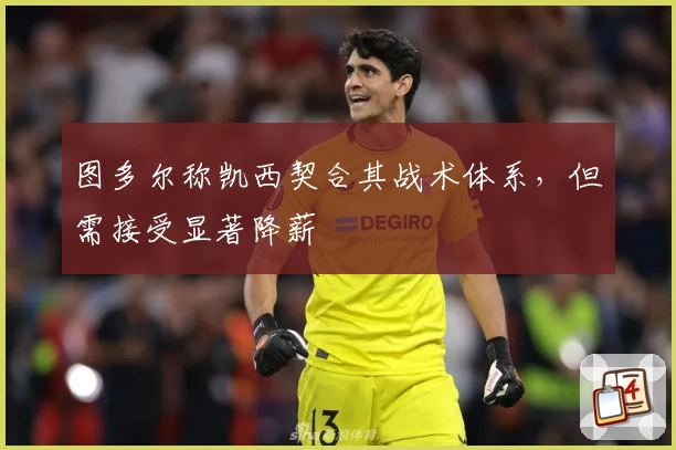 图多尔称凯西契合其战术体系，但需接受显著降薪